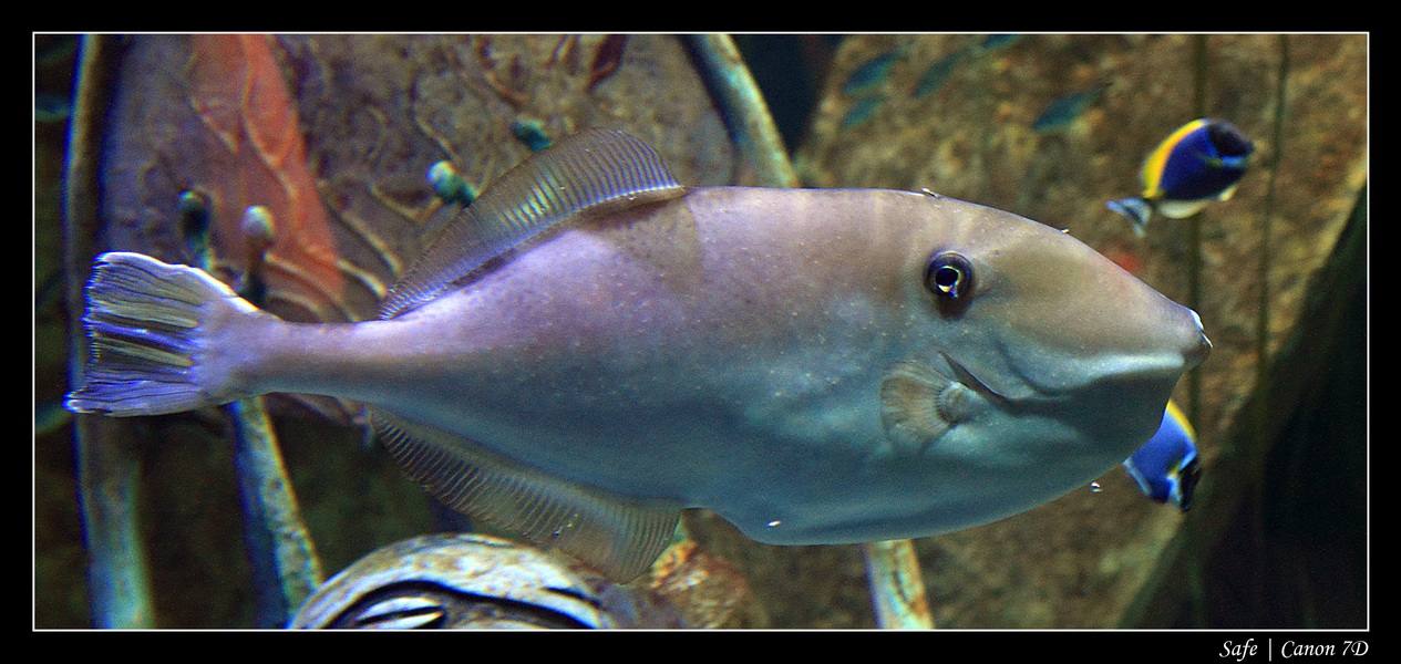 2012 - 06 - Dubai - 016